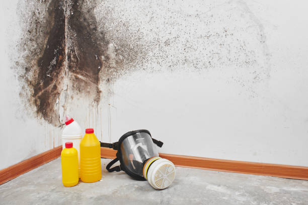 Best Mold Testing  in Germantown, IL
