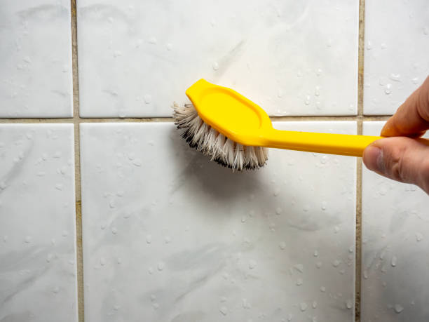 Best Mold Remediation  in Germantown, IL